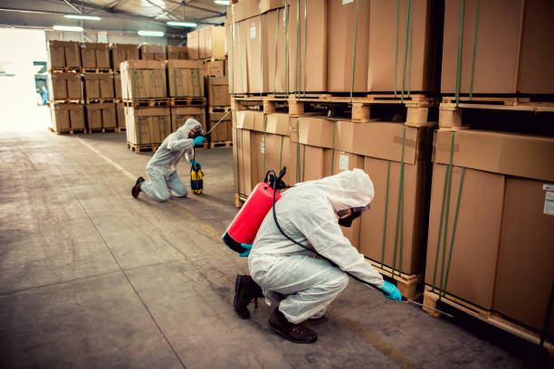 Best Residential Pest Control  in Roy, UT