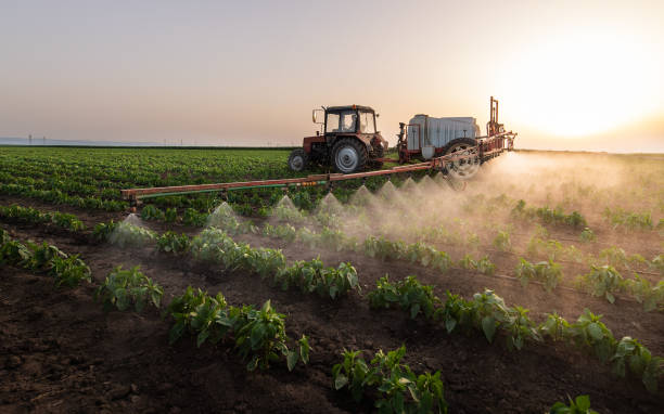 Best Pest Control for Homes  in Roy, UT