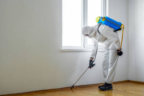 Best Pest Prevention Services  in Roy, UT
