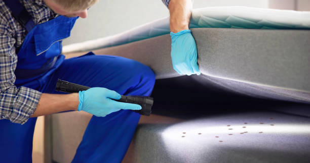Best Pest Inspection Near Me  in Roy, UT